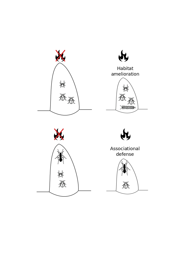 pictorial summary